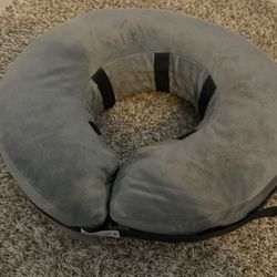 Large Dog  Comfort Cone 