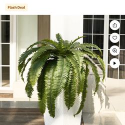 Artificial Boston Fern