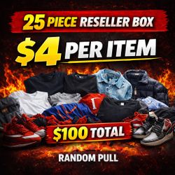 🔥 25 PIECE RESELLER BOX 🔥 $100 TOTAL = $4 EACH 💰 RANDOM PULL