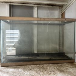 Free . Must Take All 