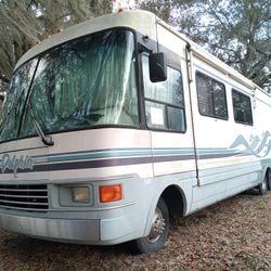 1996 National Dolphin