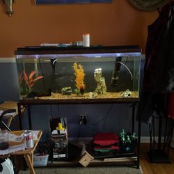 55 Gallon Aquarium  and Stand 