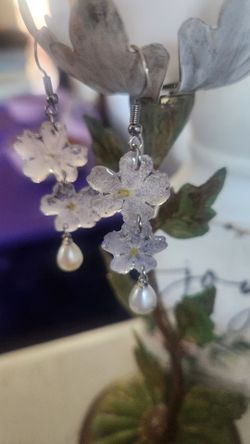 New Real Flower Earrings