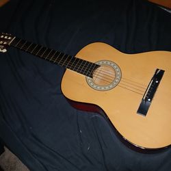 Audster 6 string guitar