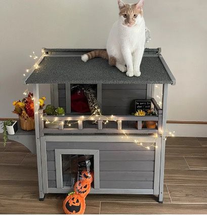 Morgete Outdoor Cat House Wooden Shelter with Balcony