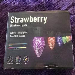 Smart Outdoor String Lights 