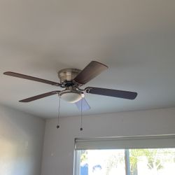 Ceiling Fan