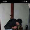 junior