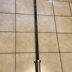45lb/20KG Rogue Ohio Bar