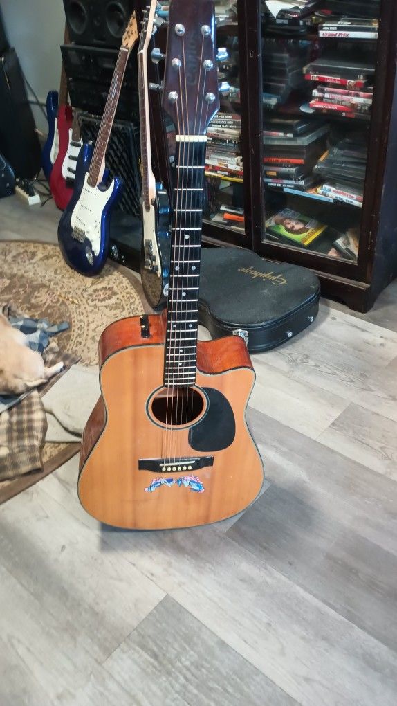 Acoustic Electric Carlos 1960