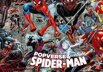(7) Spider-Man youth size gently used all for $60 complete with masks