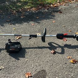 48v Snapper Weed Eater 