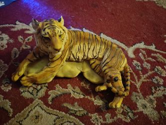 Beautiful Tigar