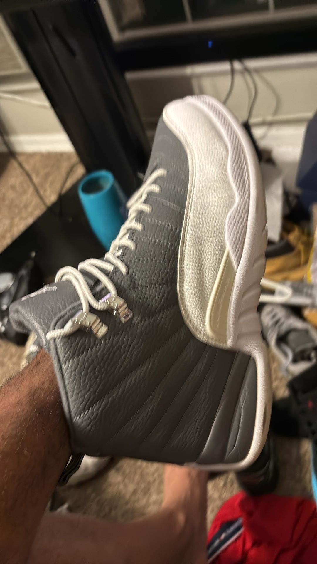 Jordan (Nike Air Jordan 12 Retro Stealth)