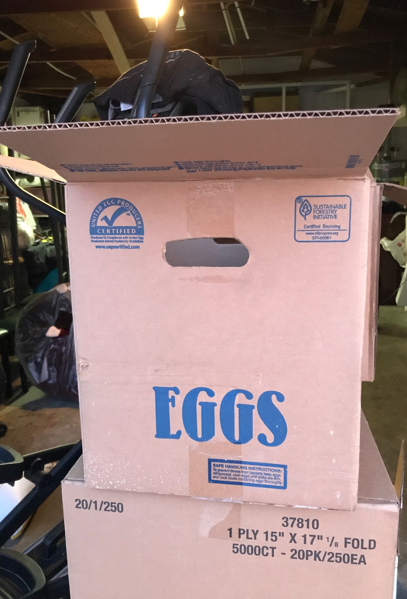 15 Dozen Eggs for sale