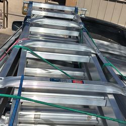 Folding ladder