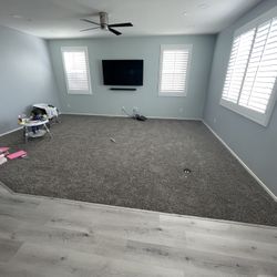 Carpet