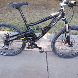 Specialized Big Hit Downhill Race Bike