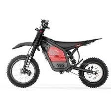 E bike