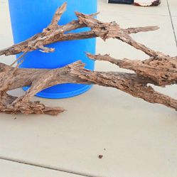 Malaysian Driftwood - Large one-piece