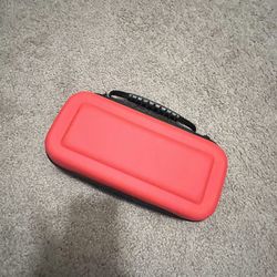 Nintendo Case 
