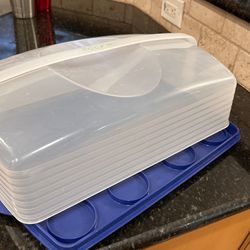Cupcake And Sheet Cake Carrier By Tupperware for Sale in Raleigh, NC -  OfferUp
