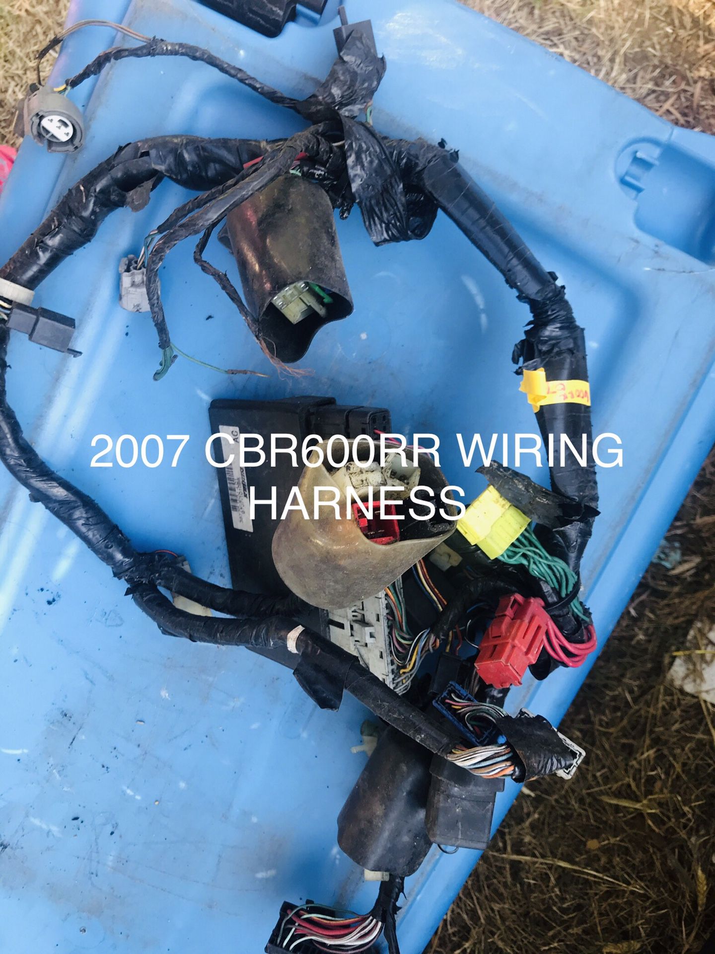2007 Honda CBR600RR Wiring Harness