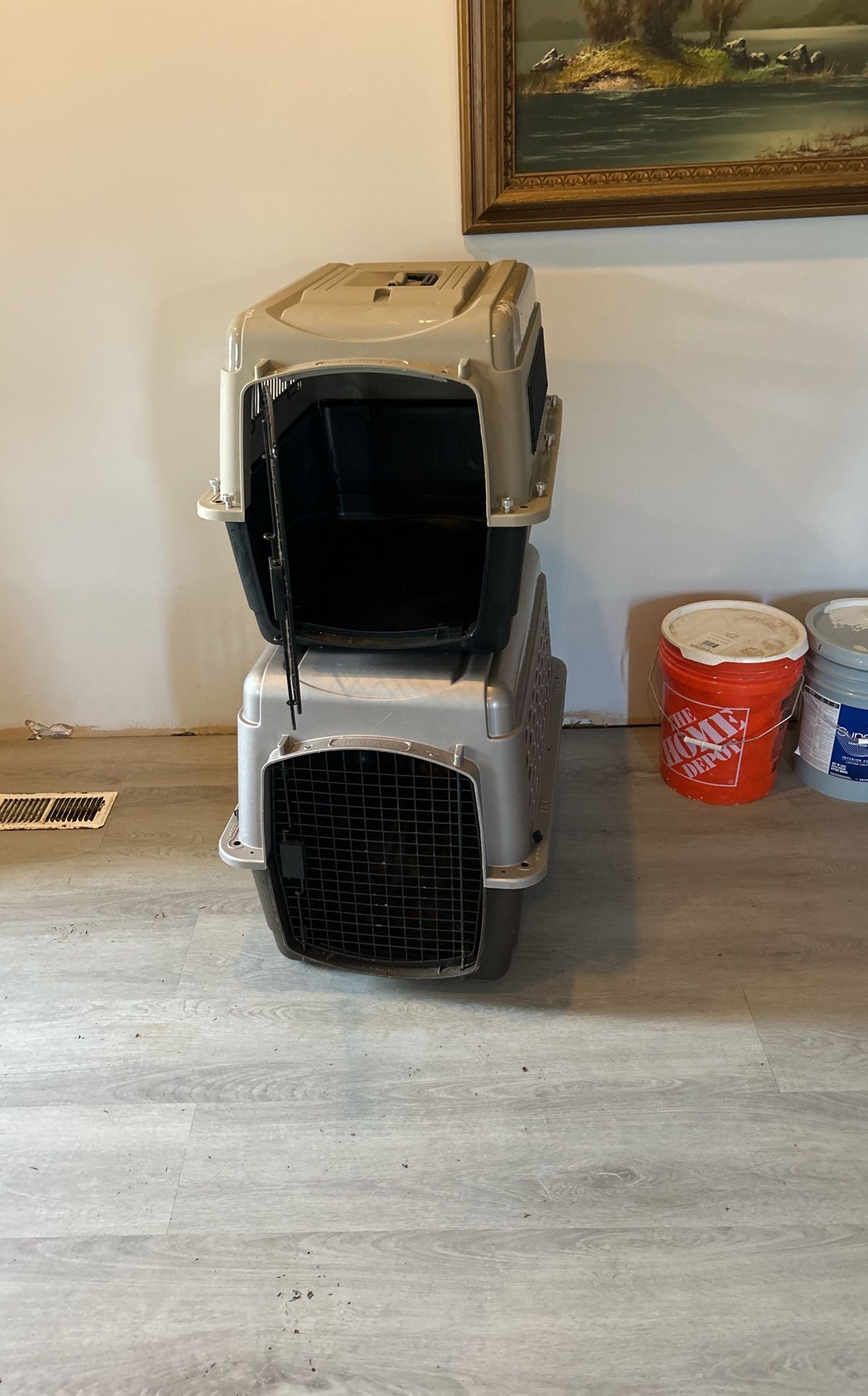 2 Dog Kennels