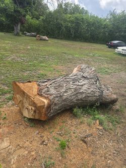 Pecan wood