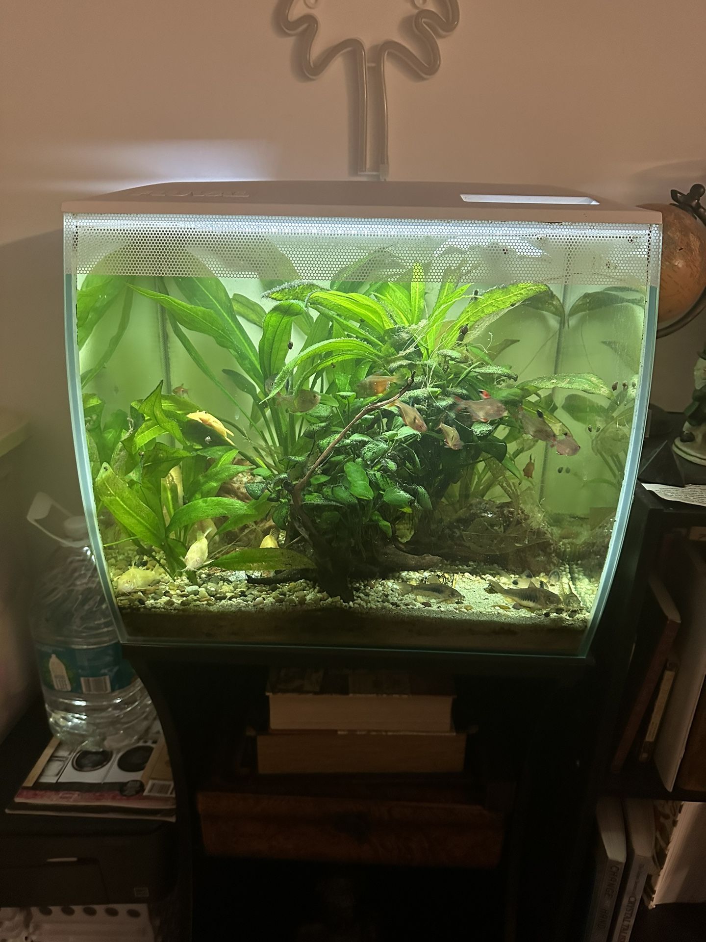 15 Gallons Fish Tank With Stand And Fishes