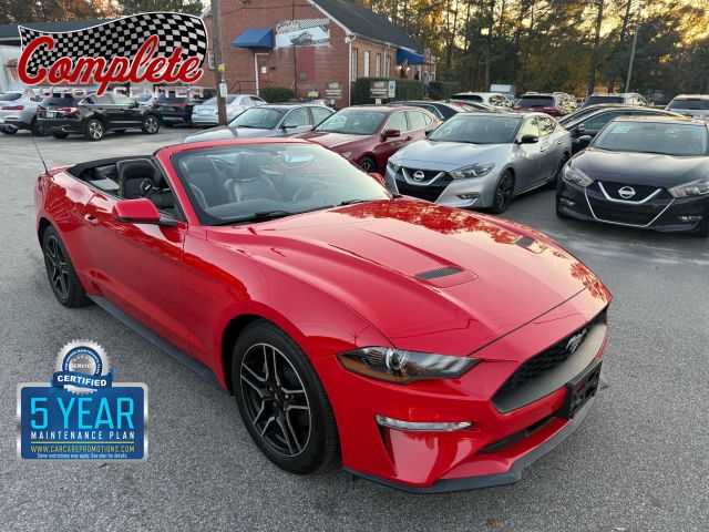 2019 Ford Mustang