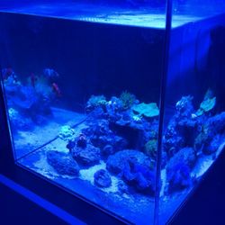 Water box 25 Peninsula  (No Livestock) 