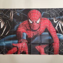 Spiderman birthday theme $14
