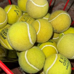 Puppy-Ready Tennis Balls  🎾  25 Cents!