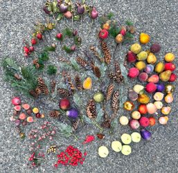 Artificial Fruit and Holiday Pick Decor