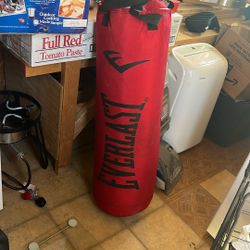 Punching Bag