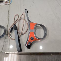 Small Dog Harness