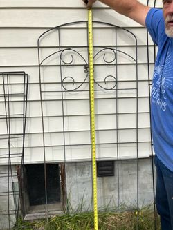 One trellis
