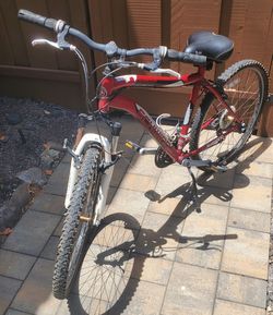 Schwinn mountain bike