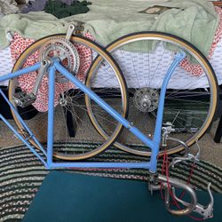 1980s Men’s Schwinn Project Bike