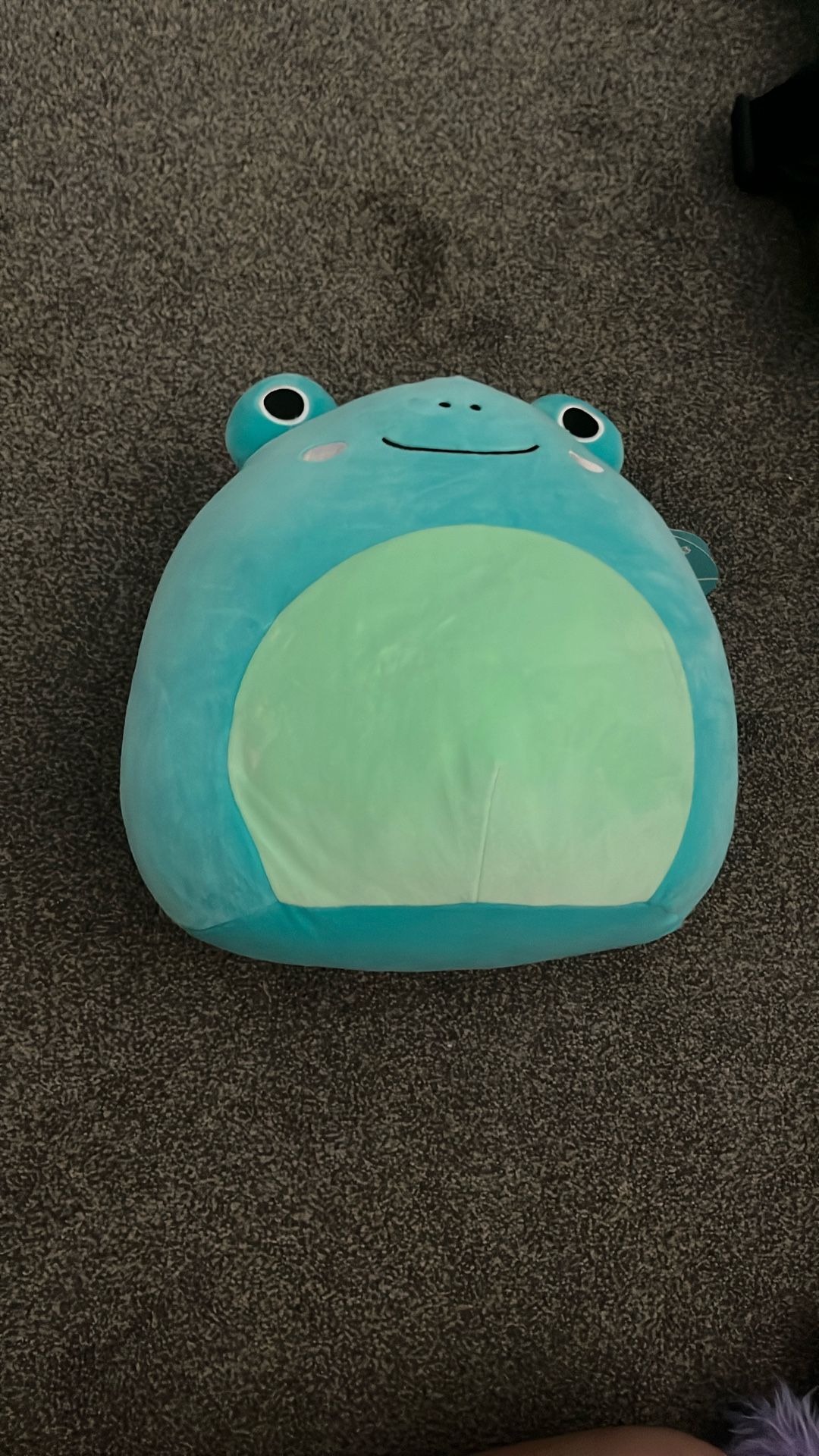 Frog Squishmallow