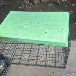 Dog Cage