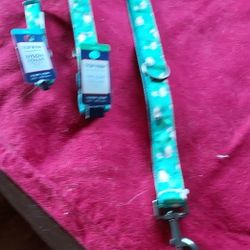 Dog Leash And Collar