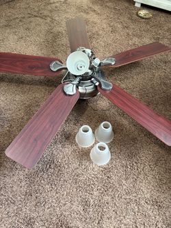 Ceiling fan