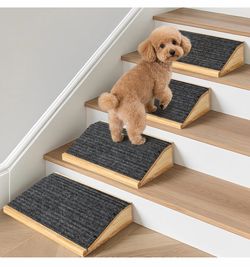 Dog Ramp