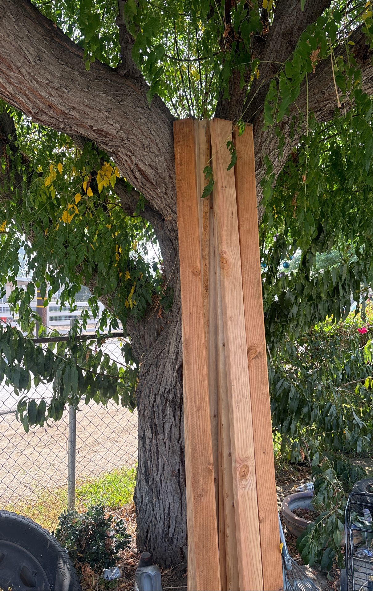 Pine 2x4 Studs 8 Feet Long