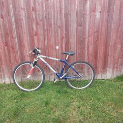 Blue Silver Mountain Bike 