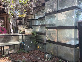 Glass Tanks