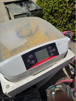 Incubator