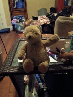 Gund brand bear